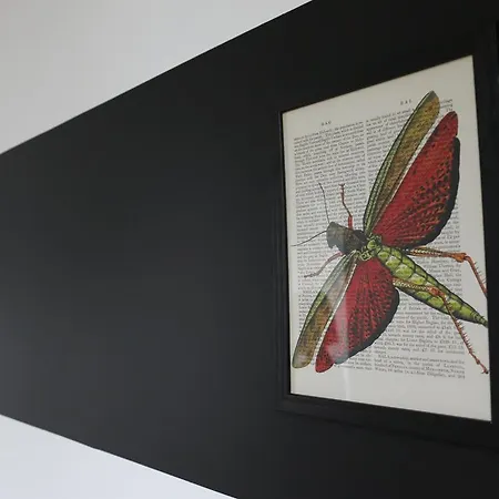 Maison Valmer - L'armateur, Elegant Penthouse Classe 4 Etoiles 公寓 勒阿弗尔