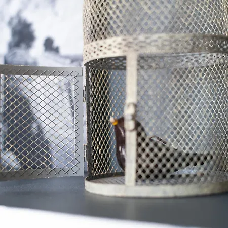 アパート Maison Valmer - L'armateur, Elegant Penthouse Classe 4 Etoiles *